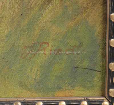  / Vlčí máky / Jaroslav Riedl