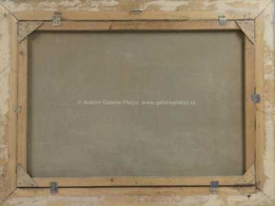  / Vlčí máky / Jaroslav Riedl