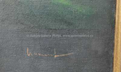  / Ovocné zátiší / Vladimír Kliment