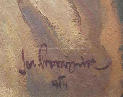  / Děvče / Jaroslav Provazník