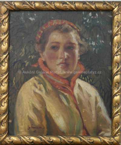 Jaroslav Provazník - Děvče