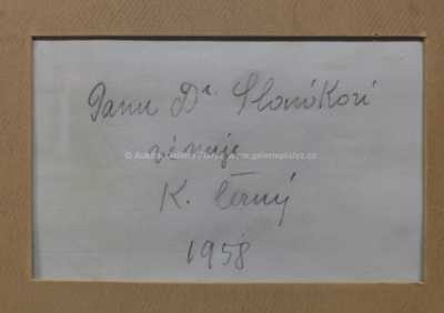  / Constanta / Karel Černý