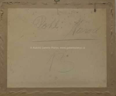  / Pražské panorama / Karel Šulc