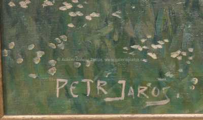  / Rozkvetlý sad / Petr Jaroš