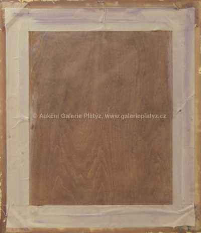  / Květinové zátiší / Josef Steiner