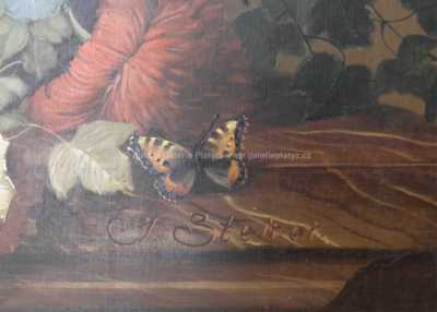  / Květinové zátiší / Josef Steiner
