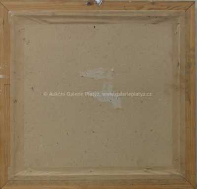  / Koroptvičky / František Daněk - Sedláček