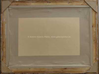  / Zimní říčka / Karel Schauer