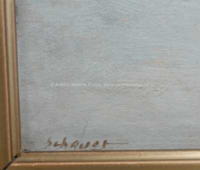  / Zimní říčka / Karel Schauer