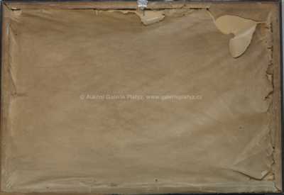  / Snopy / Karel Havlata