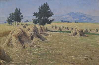  / Snopy / Karel Havlata