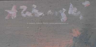  / Holič / Adolf Zábranský