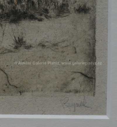  / Šípkový keř v zimě / Bohuslav Reynek