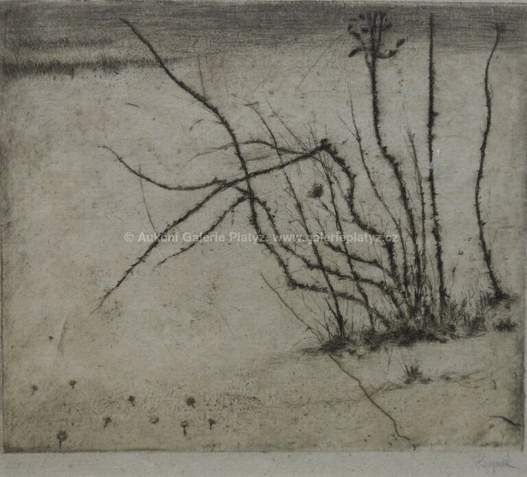  / Šípkový keř v zimě / Bohuslav Reynek