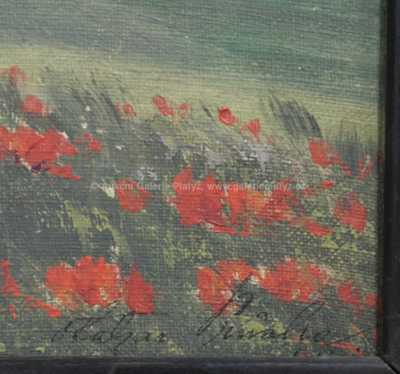  / Rozkvetlé máky / Otakar Průcha