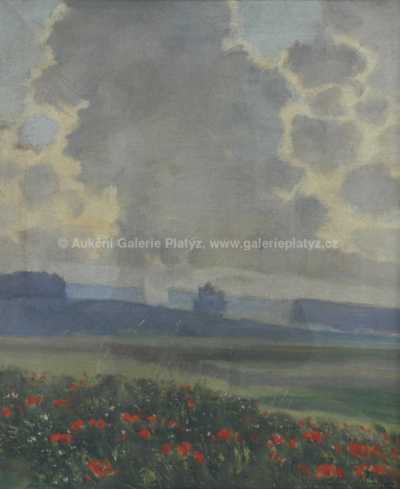  / Rozkvetlé máky / Otakar Průcha