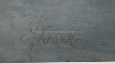  / Utonulá / Arnošt Karásek