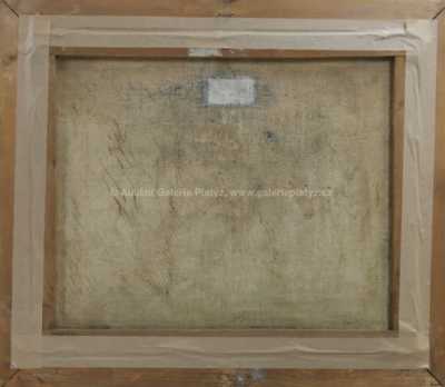  / Zámecké schody / František Horký