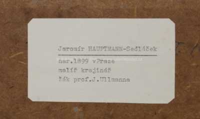  / Zátiší s kotětem / Jaromír Sedláček - Hauptmann