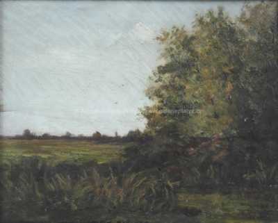  / Zarostlý rybník /   Autor neurčen