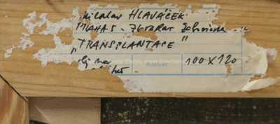  / Transplantace / Miloslav Hlaváček