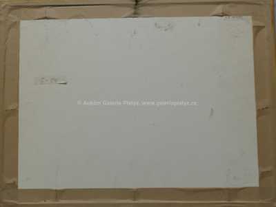  / Studie / Ignaz Platzer II 