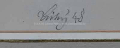  / Černý karafiát / František  Tichý