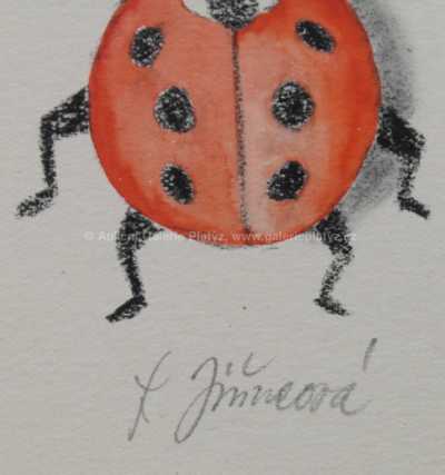  / Berušky / Ludmila Jiřincová