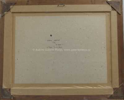  / Letní chaloupky / František  Max