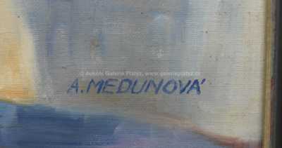  / Vánoční kaktus / Anežka Medunová