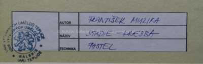  / Studie k Žalovu / František Muzika