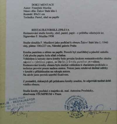  / Studie k Žalovu / František Muzika