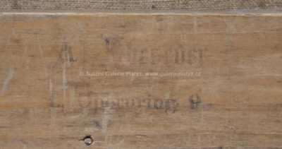  / Portrét paní Javůrkové / Václav Brožík