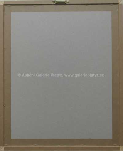  / Širým světem / Zdeněk Burian