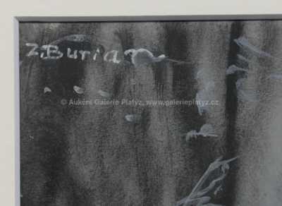  / Širým světem / Zdeněk Burian