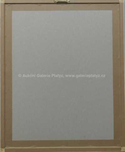  / V kanceláři / Zdeněk Burian