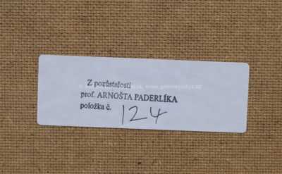  / Sedící akt / Arnošt Paderlík