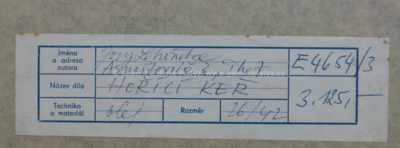  / Hořící keř / Josef Lehoučka