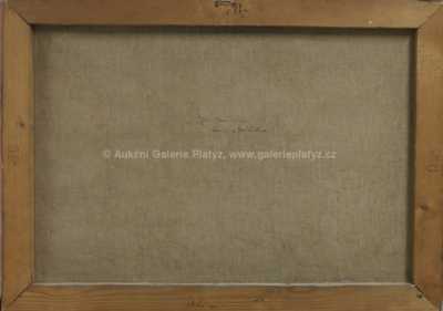  / Zima v Křížánkách / Jiří Heřman