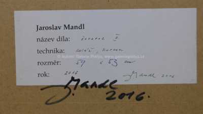  / Geometrie / Jaroslav Mandl