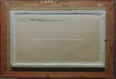  / Nové zámecké schody / Václav Trefil