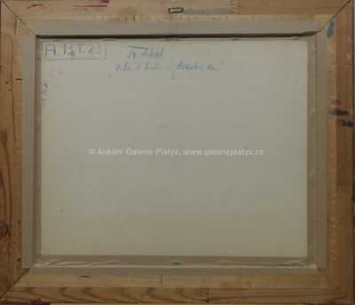  / Zelená hráz v Hradečku / František Líbal