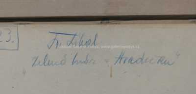  / Zelená hráz v Hradečku / František Líbal