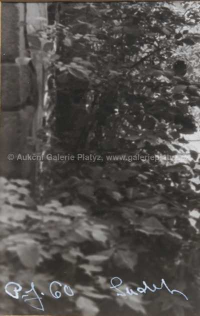  / Zátiší / Josef Sudek