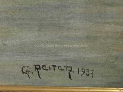  / Pohled na Malou Stranu / Gustav Reiter