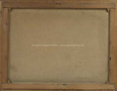 / Pohled na Malou Stranu / Gustav Reiter