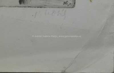  / Za pultem / Jan Kotík