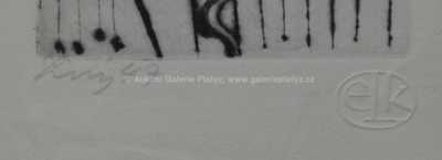  / Sběratel / František  Tichý