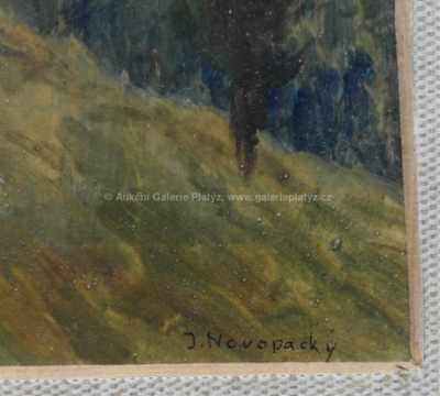  / Lesní stráň / Jan  Novopacký