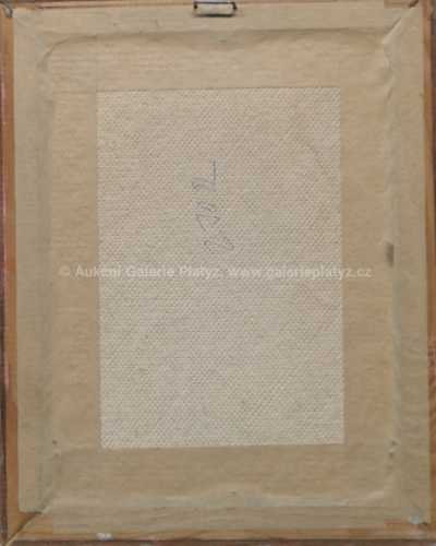  / Lesní stráň / Jan  Novopacký